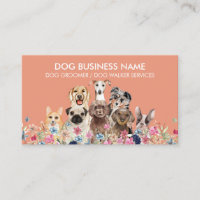 salon de toilettage pour chiens Calm Coral gardien