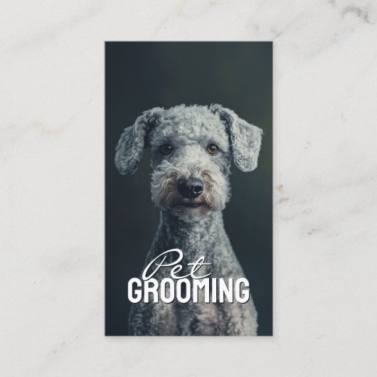 Carte De Visite Salon pour animaux domestiques Bedlington Terrier (Devant)