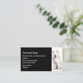 Carte De Visite Samoyé Chiens éleveur Animaux de compagnie (Debout devant)