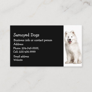 Carte De Visite Samoyé Chiens éleveur Animaux de compagnie