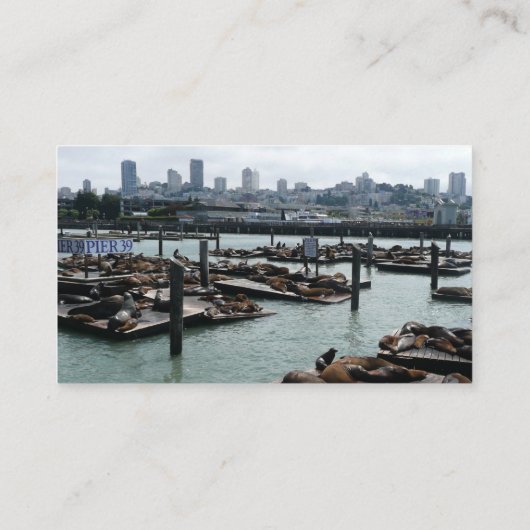 Carte De Visite San Francisco et Pier 39 Sea Lions City Skyline (Dos)