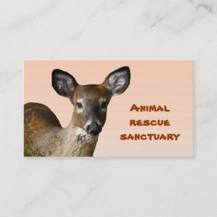 Carte De Visite Sanctuaire de sauvetage animal