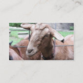 Carte De Visite Sandy la chèvre à la porte (Dos)