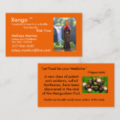 Carte De Visite Santé de Xango (Devant / Derrière)