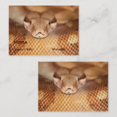 Carte de visite saumoné de boa (Devant / Derrière)