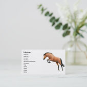 Carte de visite sautant de cheval de baie (Debout devant)