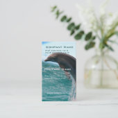 Carte de visite sautant de dauphin (Debout devant)