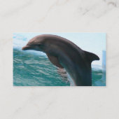 Carte de visite sautant de dauphin (Dos)