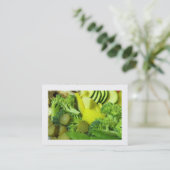 Carte De Visite Sauter-fry 01 (bordé) (Debout devant)