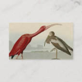 Carte De Visite Scarlet Ibis - de Audubon's Birds of America (Dos)