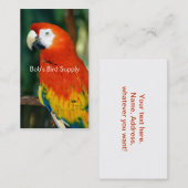 Carte De Visite Scarlet Macaw (Devant / Derrière)