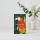 Carte De Visite Scarlet Macaw (Debout devant)