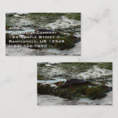 Carte De Visite Sceau du port de Sunset Lit II à San Diego (Devant / Derrière)