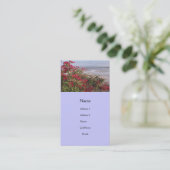 Carte De Visite scène de plage (Debout devant)