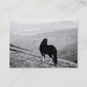 Carte De Visite Script moderne Black White Horse Equine Photograph