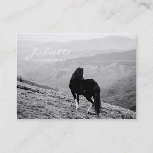 Carte De Visite Script moderne Black White Horse Equine Photograph (Devant)