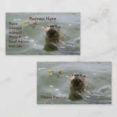 Carte de visite Sea Otter (Devant / Derrière)