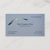 Carte de visite Seagull (Devant)