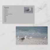 Carte de visite Seagull (Devant / Derrière)