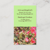 Carte De Visite Sedum (Dos)