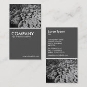 Carte De Visite Sedum Automne Joy (B&W) - 70pc Grey (Devant / Derrière)