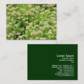 Carte De Visite Sedum (Joie d'automne) (Devant / Derrière)
