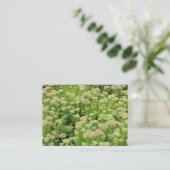 Carte De Visite Sedum (Joie d'automne) (Debout devant)