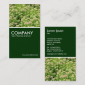Carte De Visite Sedum (Joie d'automne) - Vert foncé (Devant / Derrière)
