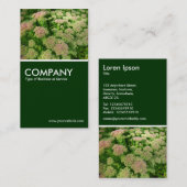 Carte De Visite Sedum "Joie d'automne" - Vert foncé (Devant / Derrière)