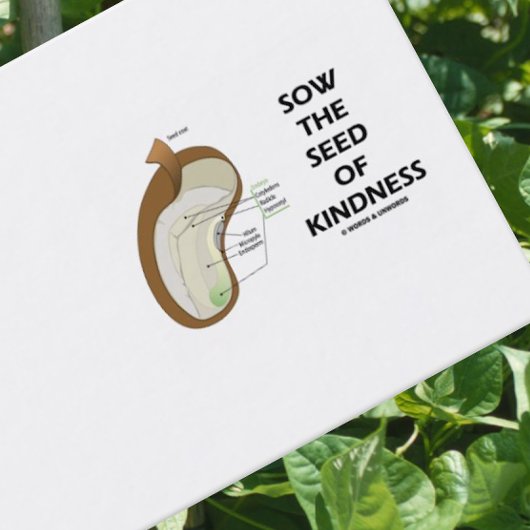 Carte De Visite Semence Des Graines D'Enduit (Graine De Haricots D