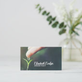 Carte De Visite Semis de la nouvelle forêt (Debout devant)