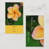 Carte De Visite Sens tropicaux (Devant / Derrière)