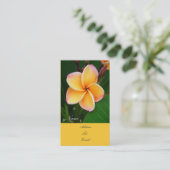 Carte De Visite Sens tropicaux (Debout devant)