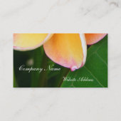 Carte De Visite Sens tropicaux (Dos)