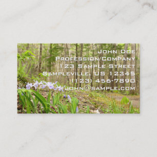 Carte De Visite Sentier des Smoky Mountain au printemps