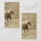 Carte De Visite Sepia Pinto Pony (Devant / Derrière)
