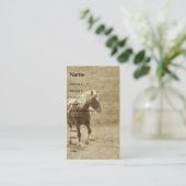 Carte De Visite Sepia Pinto Pony (Debout devant)