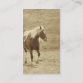 Carte De Visite Sepia Pinto Pony (Dos)