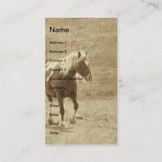 Carte De Visite Sepia Pinto Pony (Devant)