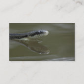 Carte De Visite serpent (Dos)