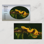 Carte De Visite Serpent Viper Poison du Costa Rica (Devant / Derrière)