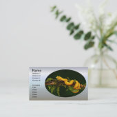 Carte De Visite Serpent Viper Poison du Costa Rica (Debout devant)