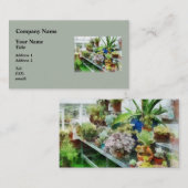 Carte De Visite Serre Avec Cactus (Devant / Derrière)