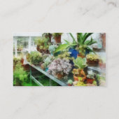 Carte De Visite Serre Avec Cactus (Dos)