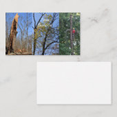 Carte De Visite Service Arborescence (Devant / Derrière)