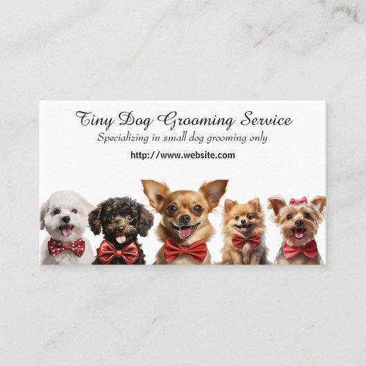 Carte De Visite Service De Grooming De Chien Minuscule (Devant)