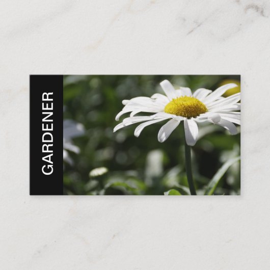 Carte De Visite Service de jardinage professionnel de jardinier (Devant)
