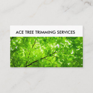 Carte De Visite Service d'élagage d'arbres