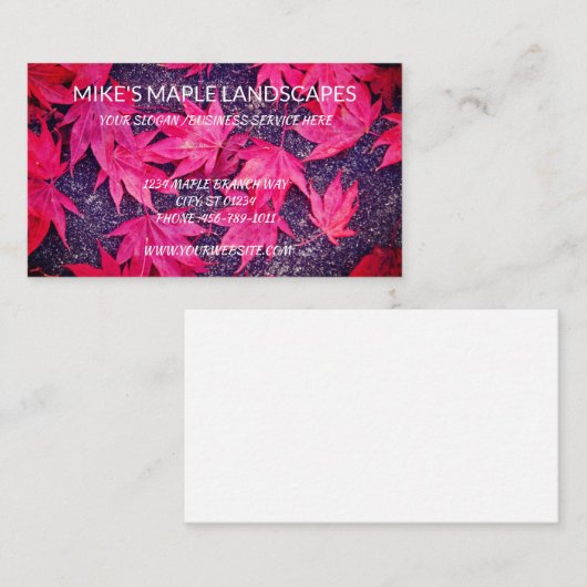 Carte De Visite Service Paysage (Devant / Derrière)