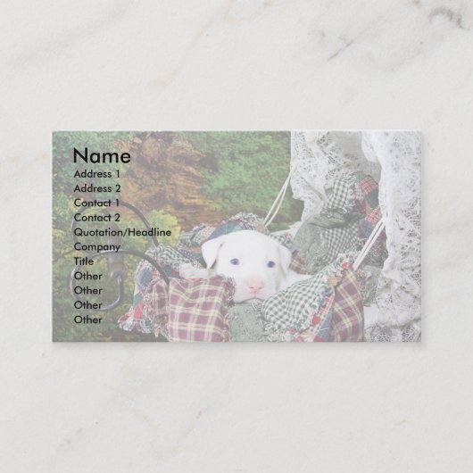 Carte De Visite Service se reposant d'animal familier fait sur (Devant)